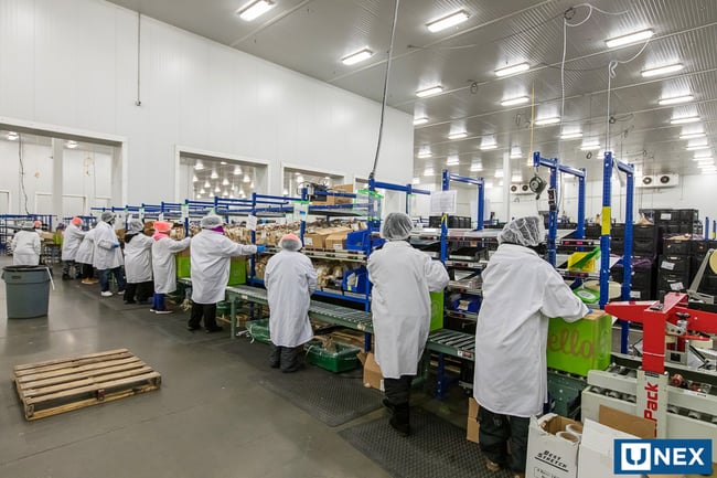 HelloFresh order fulfillment operation